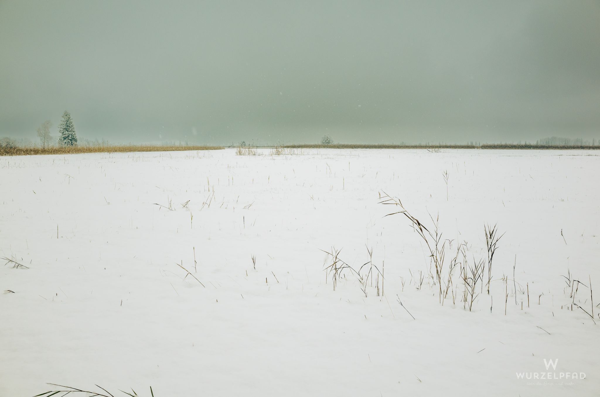 Moorlandschaft zwischen Kochel und Benediktbeuern